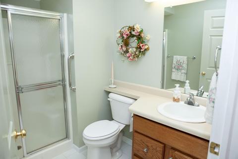 325 Boyer Ct, Marshall, MI 49068 photo 17