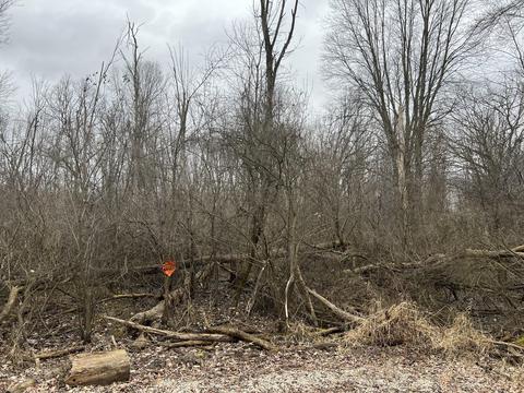 E L Avenue, Kalamazoo, MI 49048