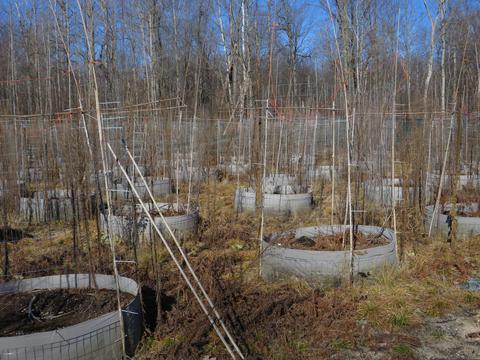 1940 W Winegars Rd, Gladwin, MI 48624 photo 36