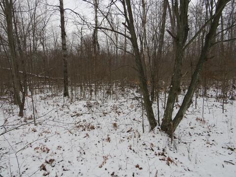 1940 W Winegars Rd, Gladwin, MI 48624 photo 24