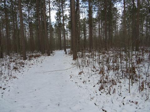 1940 W Winegars Rd, Gladwin, MI 48624 photo 20
