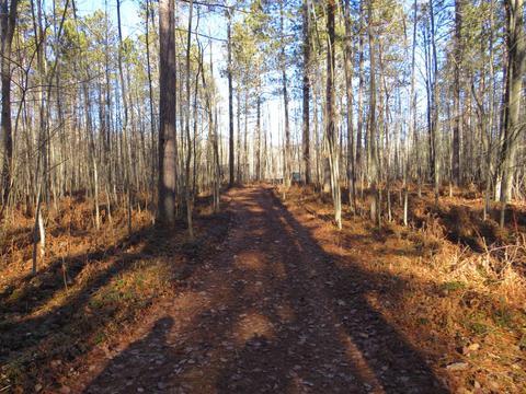 1940 W Winegars Rd, Gladwin, MI 48624 photo 25