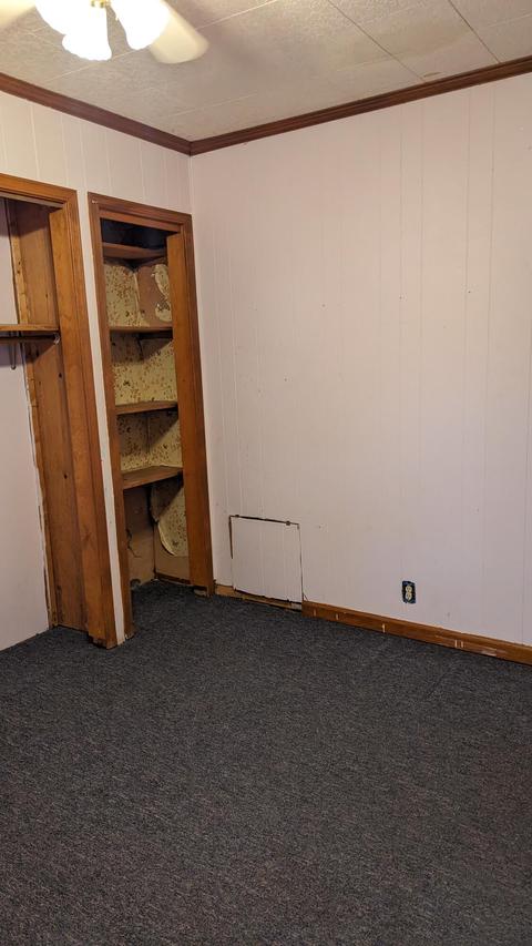 20 E Montgomery St, Coldwater, MI 49036 photo 23