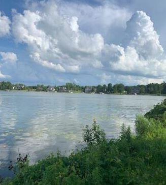 Lot O Dowling Drive, Onsted, MI 49265