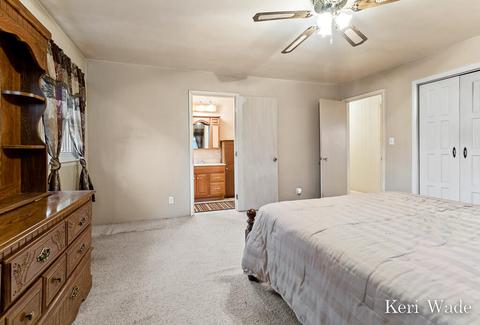 3450 Pinegrove Rd NE, Edmore, MI 48829 photo 28