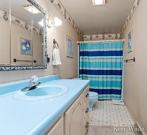 3450 Pinegrove Rd NE, Edmore, MI 48829 photo 34