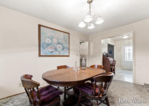3450 Pinegrove Rd NE, Edmore, MI 48829 photo 18