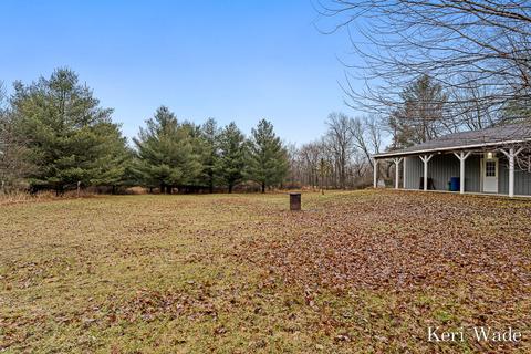 3450 Pinegrove Rd NE, Edmore, MI 48829 photo 6