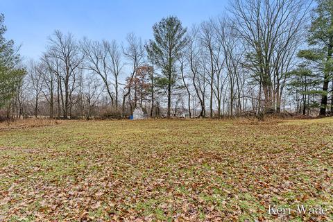 3450 Pinegrove Rd NE, Edmore, MI 48829 photo 8