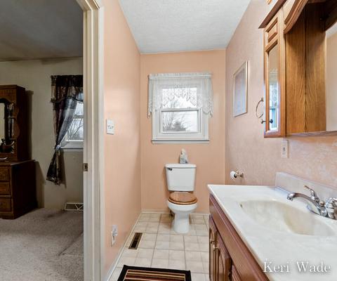3450 Pinegrove Rd NE, Edmore, MI 48829 photo 30