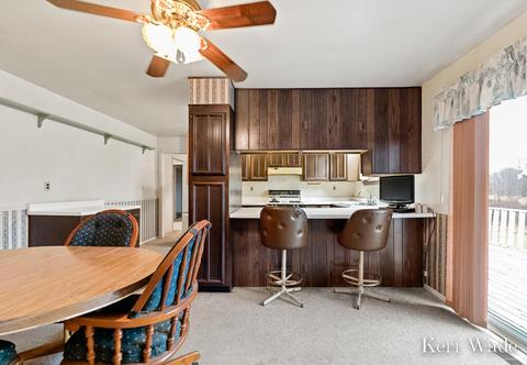 3450 Pinegrove Rd NE, Edmore, MI 48829 photo 20
