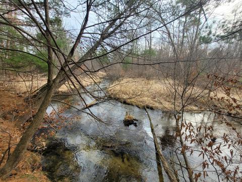 22580 Kendaville Rd, Pierson, MI 49339