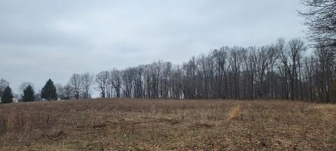 Parcel D Dildine Road, Ionia, MI 48846