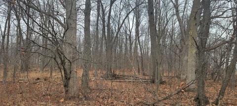 Parcel B Dildine Road, Ionia, MI 48846