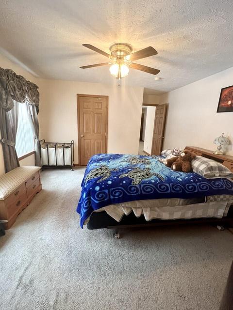 1551 E Pine Hill Ave, White Cloud, MI 49349 photo 3