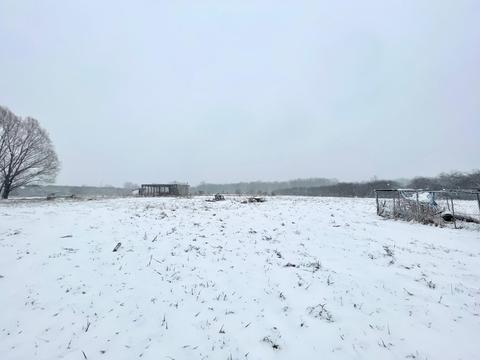1968 Peters Rd, Bailey, MI 49303 photo 3