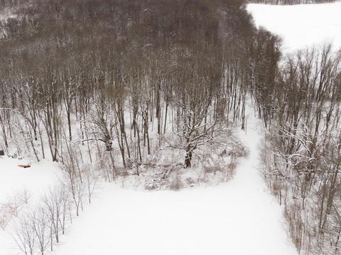 4331 E B Ave, Plainwell, MI 49080 photo 42