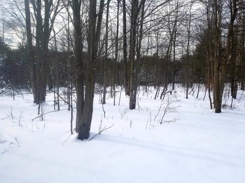 Parcel B Bluestone Court, West Olive, MI 49460