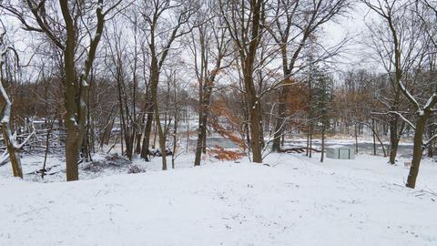 910 Verona Rd, Marshall, MI 49068 photo 24