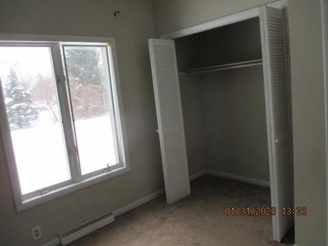 125 Sheldon St, Climax, MI 49034 photo 12