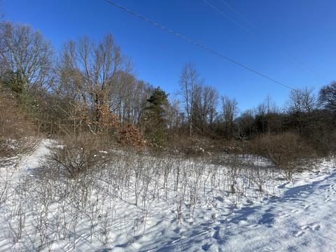 Bauman Road, Battle Creek, MI 49017