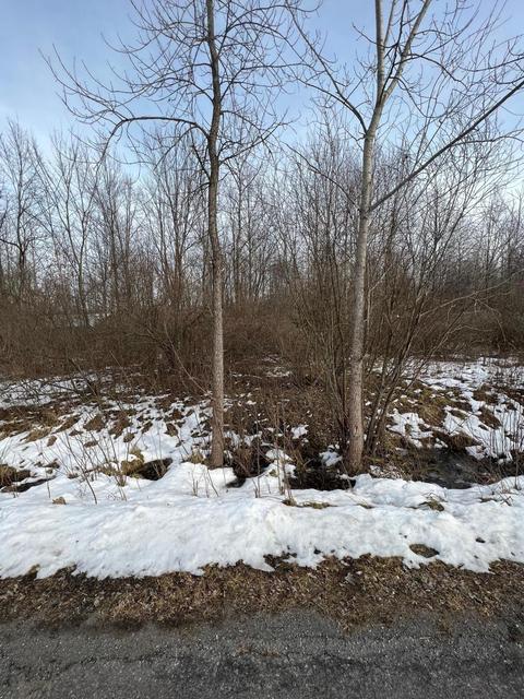 0 Springdale Dr, Hartford, MI 49057