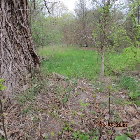 0 N Ontario St, Coloma, MI 49038