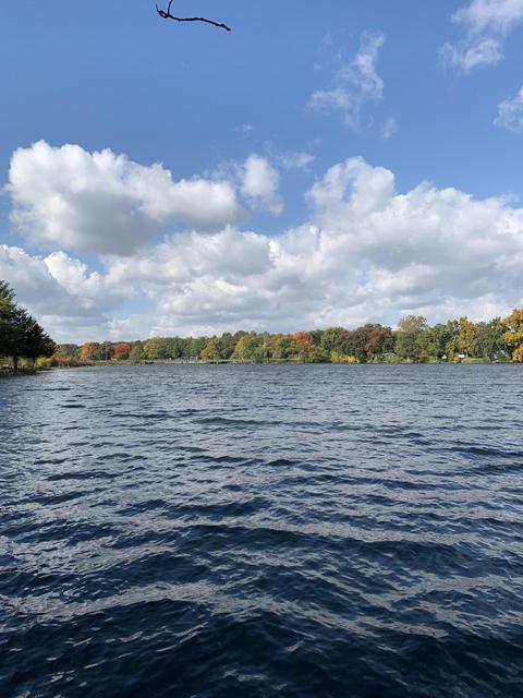 23222 Van Resort Dr, Mendon, MI 49072 photo 15