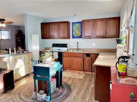 23222 Van Resort Dr, Mendon, MI 49072 photo 4