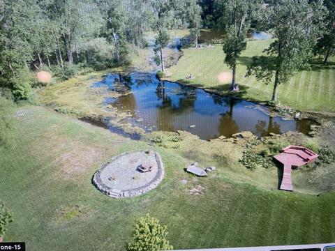 13112 E Mn Ave, Climax, MI 49034 photo 15