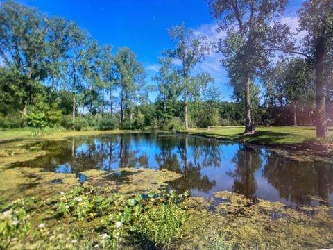 13112 E Mn Ave, Climax, MI 49034 photo 14