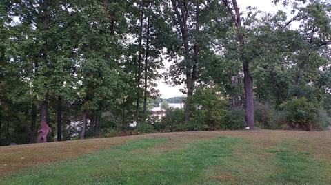 11030 Baker Rd, Jerome, MI 49249 photo 12