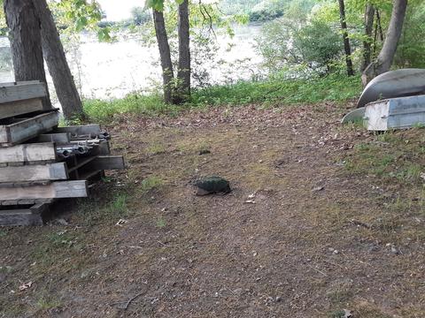 11030 Baker Rd, Jerome, MI 49249 photo 6