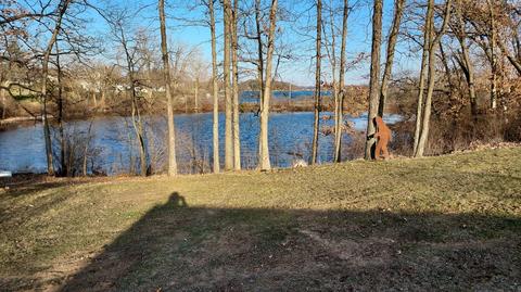 11030 Baker Rd, Jerome, MI 49249 photo 34
