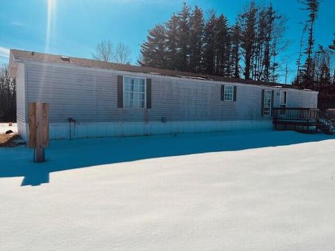 5237 E Deer Rd, Walkerville, MI 49459 photo 6