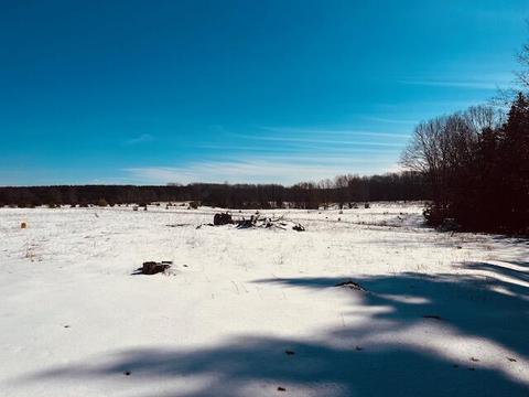 5237 E Deer Rd, Walkerville, MI 49459 photo 21