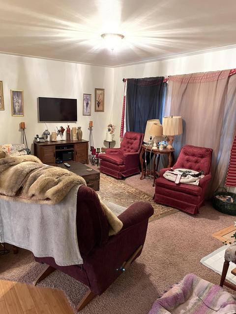 640 E Lewis St, Whitehall, MI 49461 photo 5