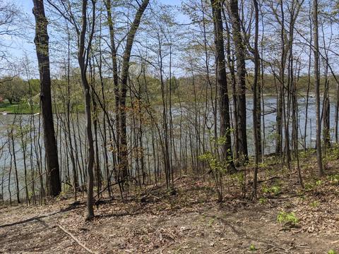 Lot 335 Stephenson Road, Onsted, MI 49265