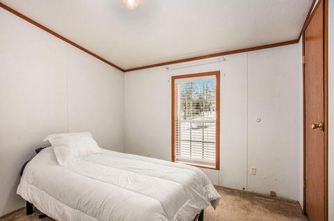 3761 E Shore Dr, Stanton, MI 48888 photo 18