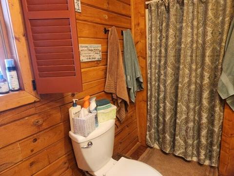 4100 W 52nd St, Baldwin, MI 49304 photo 14