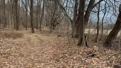 54659 Penn Rd, Cassopolis, MI 49031 photo 78