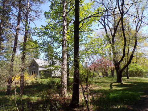 8411 Puustinen Rd, Kaleva, MI 49645