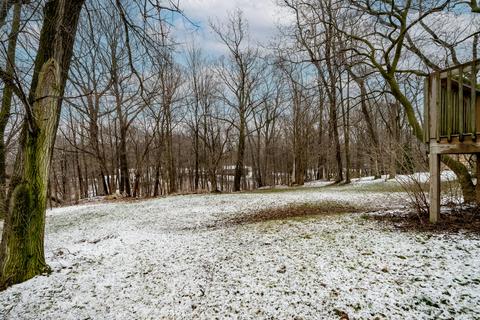 8239 45th St SE, Ada, MI 49301 photo 34