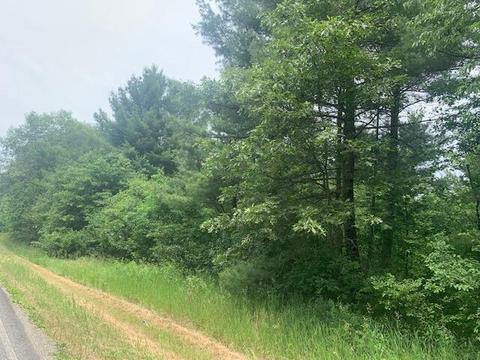 B-2 W Almy Street, Howard City, MI 49329