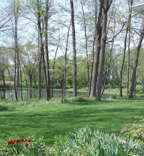 50820 Wetherbee Rd, Marcellus, MI 49067 photo 34