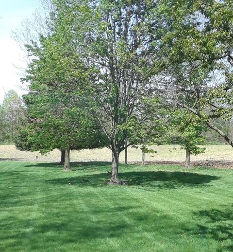 50820 Wetherbee Rd, Marcellus, MI 49067 photo 35