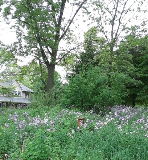 50820 Wetherbee Rd, Marcellus, MI 49067 photo 36