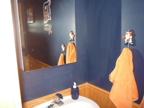 787 Oak Rd, Bronson, MI 49028 photo 15