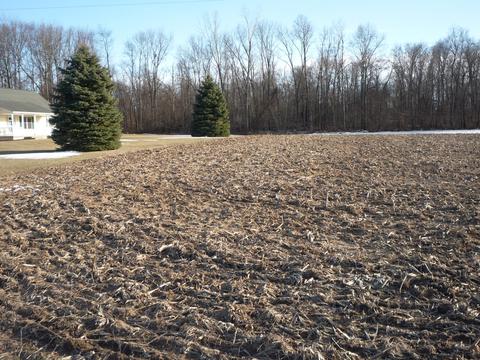 787 Oak Rd, Bronson, MI 49028 photo 2