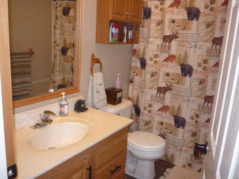 787 Oak Rd, Bronson, MI 49028 photo 22